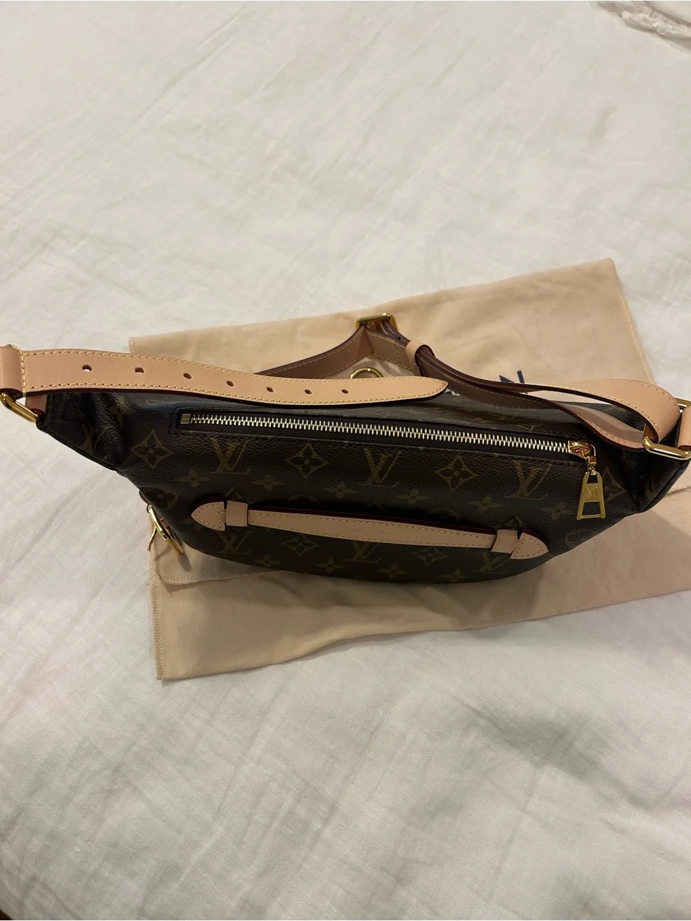 Louis Vuitton Monogram Canvas Crossbody Belt Bag in Brown